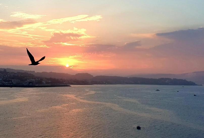 Apartmán Piso Vacaciones En El Mar Sanxenxo Exteriér fotografie